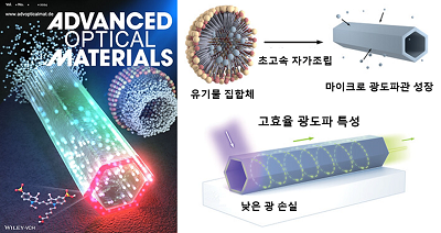 (왼쪽) 커버이미지 (오른쪽) 유기반도체 원격 센서 성장 메커니즘 및 광도파 특성 모식도