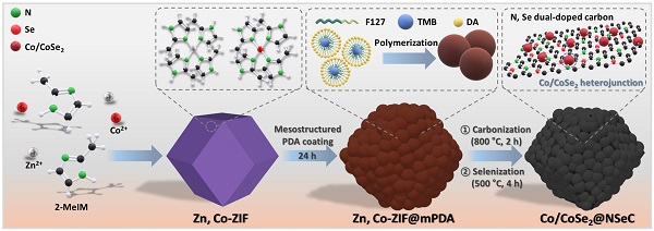 질소와 셀레늄이 도핑된 탄소 기반 코발트·코발트 셀렌화물이 이종접합을 형성한 복합촉매 합성과정 모식도.