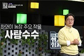 이진영 교수, KBS ‘이슈Pick 쌤과 함께’ 출연 첨부 이미지